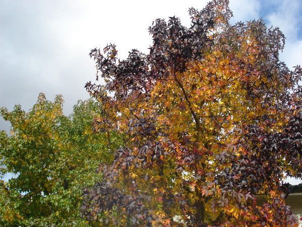 La beauté de la Nature!